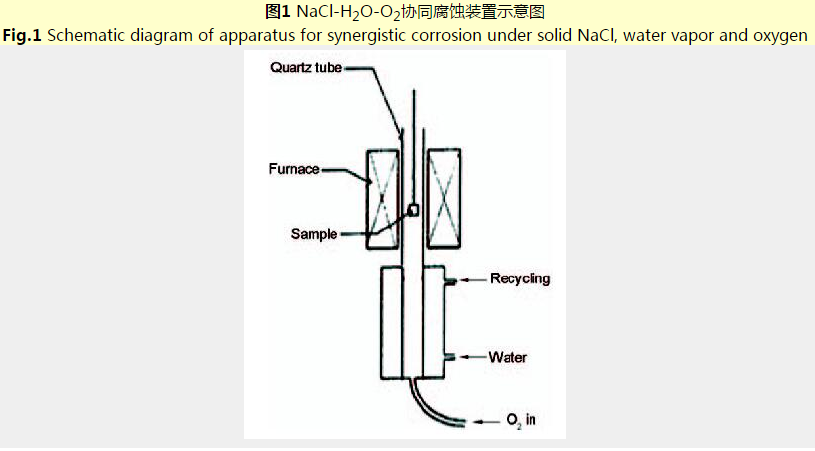 600 ℃/NaCl-H2O-O2協同環境中Ti/TiAlN多層涂層的耐蝕行為